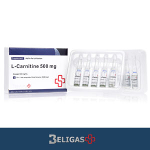L-Carnitine, 500 mg
